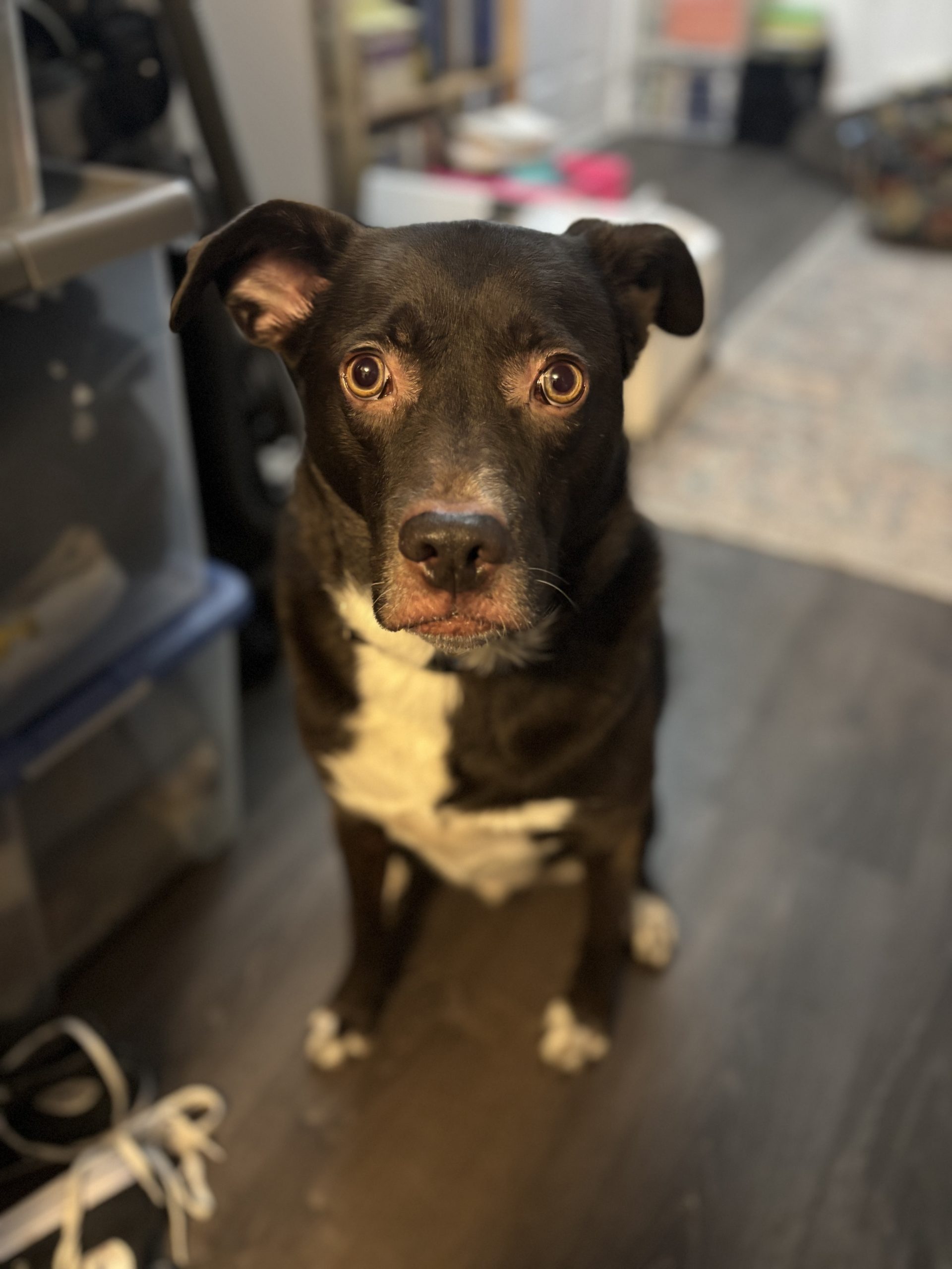 Ali with a happy pup