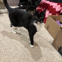 Mimi